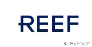 REEF hires Dylan Casey as chief product officer