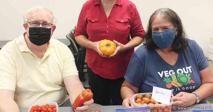 Become a Better Gardener in 2022 | News | newsbug.info - Newsbug.info