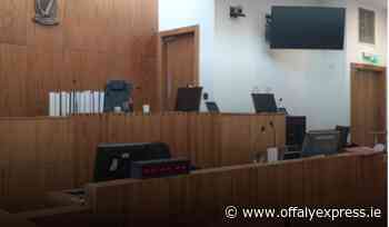 Gang flew Latvian man to Tullamore to be a 'gardener' for cannabis plants - Offaly Express