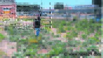 Gardener extols joy of planting - News24