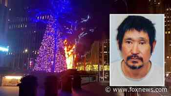 Alleged Fox Christmas tree arsonist reveals thoughts before setting it ablaze: 'All day long'