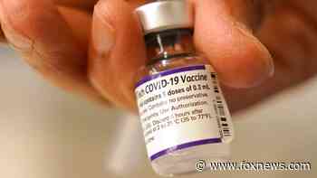 FDA approves Pfizer-BioNTech COVID vaccine booster for emergency use in 16- and 17-year-olds