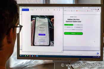 Riesa: Wie Betrüger mit den Daten einer Riesaerin Geld machen - Sächsische.de
