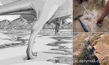 Fossils: Theropod dinosaurs could reach impressive speeds of up to 28mph 100 million years ago