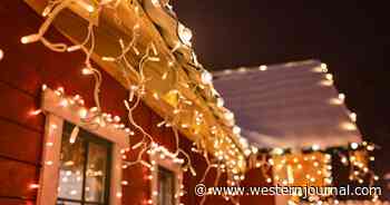 Woman's 'Worst Nightmare' Unfolds While Hanging Christmas Lights Outside of Her Own Home