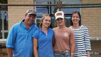 'We never envisaged it would take this long': families exasperated by bushfire rebuild red tape