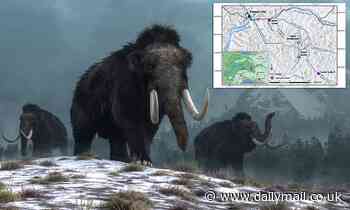 DNA evidence from frozen permafrost reveals woolly mammoths roamed Canada until 5,000 years ago
