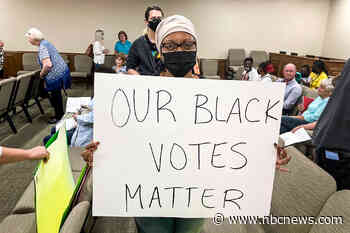 Georgia Republicans purge Black Democrats from county election boards