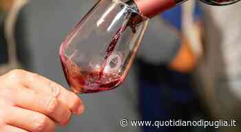 Manduria, allarme per il Primitivo: in arrivo aumenti record - quotidianodipuglia.it