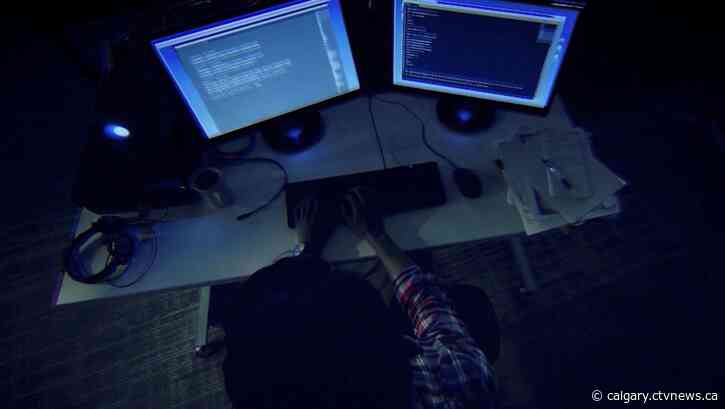 'They will convince you': Southern Alberta woman tricked out of $1,800 in Bitcoin scam