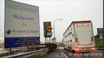 Letter to the editor: Ban on animal transport is groundbreaking - Agriland.ie