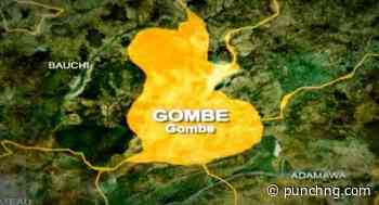 Gombe dissolves transport service board - Punch Newspapers