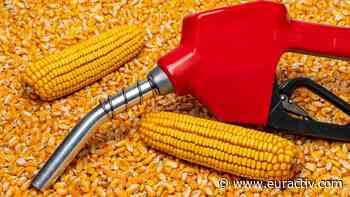 Updated data brands bioethanol as 'cost-effective' tool to decarbonise EU transport - EURACTIV