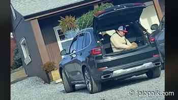 This Has To be The Most Humiliating Christmas Tree Transport In History - Jalopnik