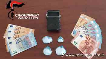 Cocaina alla zona industriale di Termoli, scatta blitz carabinieri: due arresti - Primonumero