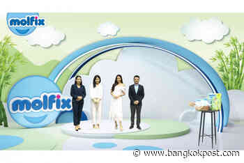 Leading Turkish FMCG player Hayat enters Thailand - Bangkok Post