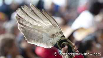 N.W.T. releases plan on missing and murdered Indigenous women and girls - Lethbridge News Now