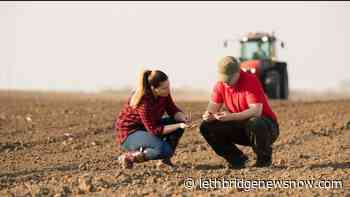 FCC expands financing for young farmers and agribusiness entrepreneurs - Lethbridge News Now