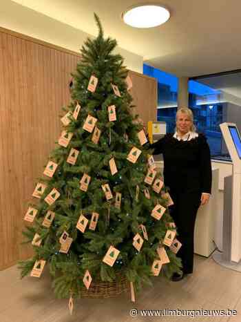 Lummen: Wensboom vervult kerstwens van kinderen uit kwetsbare gezinnen (8 december 2021) - Limburgnieuws.be