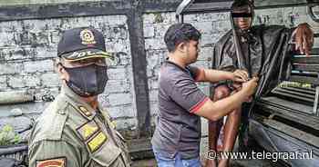 Nederlander (26) door het lint op Bali, opgepakt door de politie - Telegraaf.nl