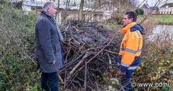 De bever rukt op en bezorgt Waterschap Aa en Maas flink wat kopzorgen - BD.nl