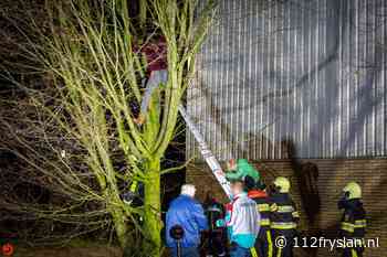 Brandweer bevrijdt jongetje uit boom bij sportcomplex in Wolvega - 112 Fryslân