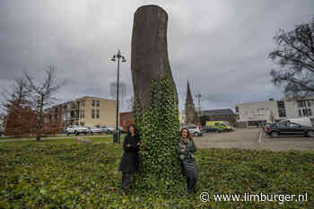 Een boom als bindmiddel: burgers bepalen de nieuwe toekomst van de historische bonk van Breust - De Limburger