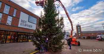 Snel opgelost: nieuwe boom Kaatsheuvel staat al en krijgt vandaag 1000 opgepoetste ballen - BD.nl