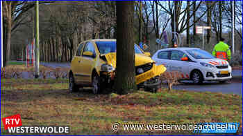 Automobiliste wijkt uit en botst tegen boom - Westerwolde actueel