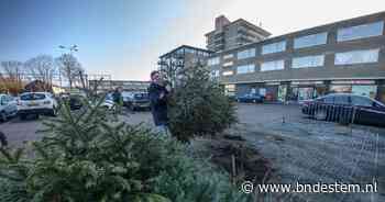 Tuig je boom af, win een ipad: Roosendaal houdt weer kerstbomenactie - BN DeStem