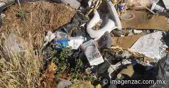 Fresnillo: ¡La inmundicia! Usan predios como basureros en la colonia Solidaridad - Imagen de Zacatecas, el periódico de los zacatecanos