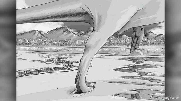 Meat-eating dinosaurs were terrifyingly fast, footprints reveal - Livescience.com