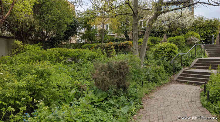 London’s Pocket Parks: Thornhill Bridge Community Gardens, N1
