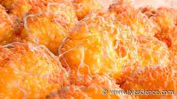 The coronavirus infects fat cells, study suggests - Livescience.com