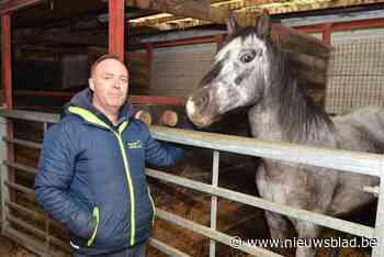 Befaamde manege na 50 jaar plots met sluiting bedreigd: “Mijn levenswerk staat op het spel”