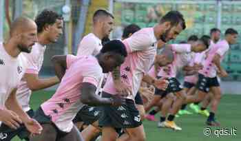 Il Palermo è l’anti Bari, il derby col Catania decisivo - Quotidiano di Sicilia