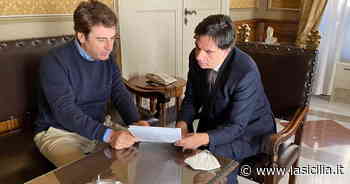 Catania, venerdì bando online per l'assunzione di 70 funzionari - La Sicilia