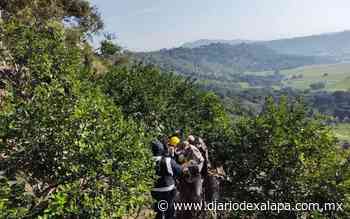 Cayó a un barranco y azotó entre rocas, en Coatepec; está grave - Diario de Xalapa