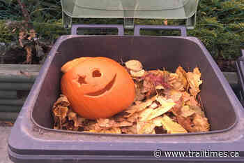 Kootenay-side of regional district to see green bins in 2022 - Trail Times