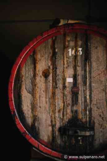 L'Aceto Balsamico di Modena si racconta con le masterclass all'eccellenza di Toscana - SulPanaro