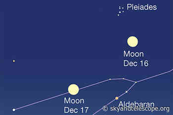 This Week's Sky at a Glance, December 10 – 18
