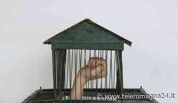 FORLI': In occasione della giornata del Contemporaneo, a Pievequinta la mostra "Come vanno le cose" | FOTO - Teleromagna24