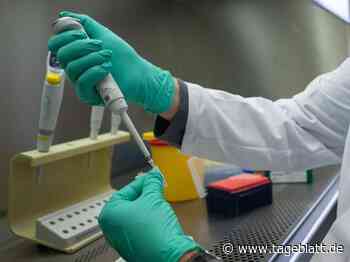 Diese Corona-Maßnahmen will die neue Koalition absegnen - Landkreis Stade - Tageblatt-online