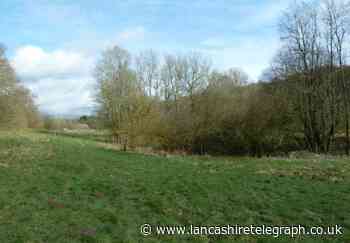 Chorley: Plan for 115 homes along Cuerden country lane derailed