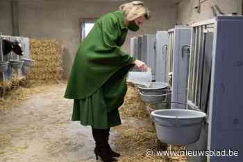 Koningin Mathilde steekt vrouwen in boerenstiel hart onder de riem: “Zo’n hartverwarmend gesprek deed echt deugd”