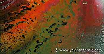 The Arts Scene: First Fridays are great Fridays in Ellensburg - Yakima Herald-Republic