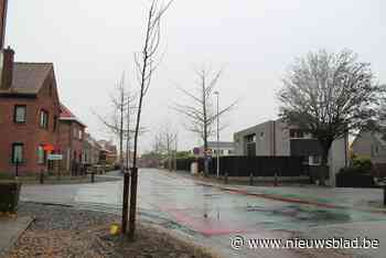 Vrouwelijke notenbomen gerooid omdat ze drie weken per jaar stinken: “Die strontgeur was echt niet te harden”