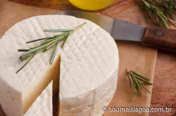 Capacitação para produção de queijos acontece em Lagoa da Prata na próxima quinta (16) - Sou Mais Lagoa