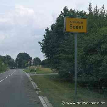 Abfuhrtermine der Entsorgungswirtschaft Soest - Hellweg Radio