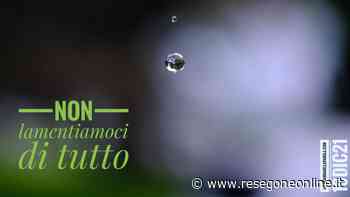 notizie da Lecco e provincia » Capricci - ResegoneOnline